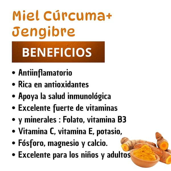 Miel Herbal Cúrcuma Jengibre 13 oz - Imagen 3