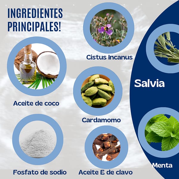 Pasta Dental Herbal 4 oz - Imagen 4