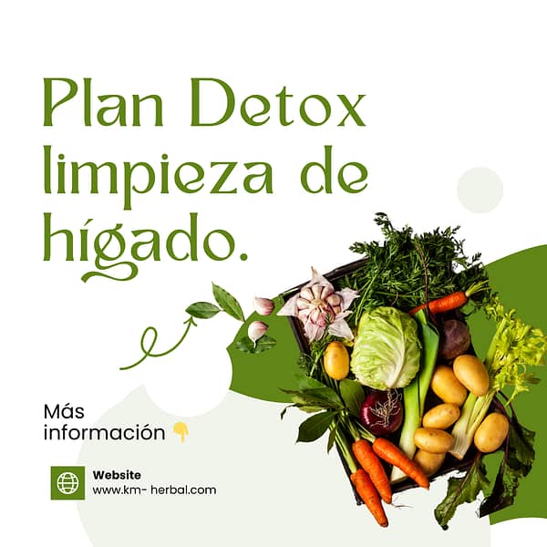 Plan Detox